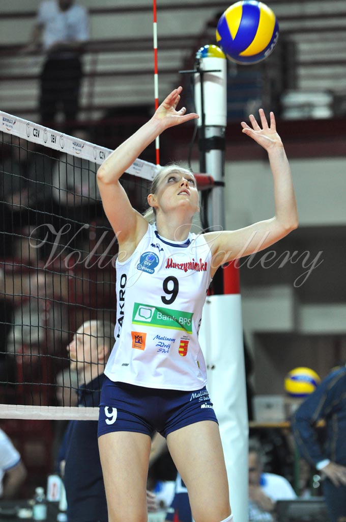 Asystel NO Muszynianka (28)